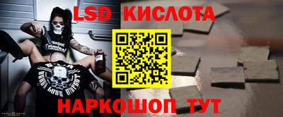 трава Сланцы