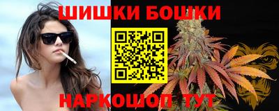 трава Сланцы