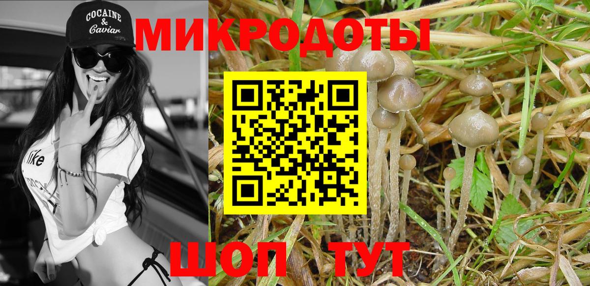 Орёл  Галлюциногенные грибы MAGIC MUSHROOMS  Вход с VPN 