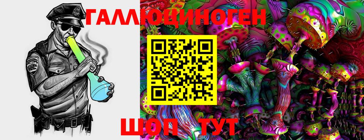 Галлюциногенные грибы Psilocybe Орёл
